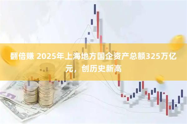 翻倍赚 2025年上海地方国企资产总额325万亿元，创历史新高