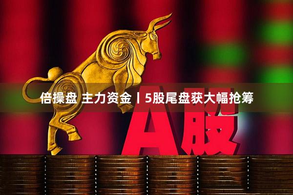 倍操盘 主力资金丨5股尾盘获大幅抢筹